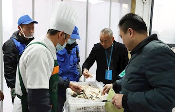 冬日暖“羊”幸福指数拉满！师生齐喝…